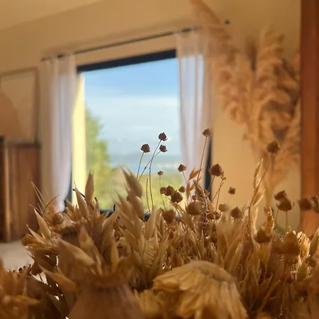 Gæstehus L'arbousiere 4*