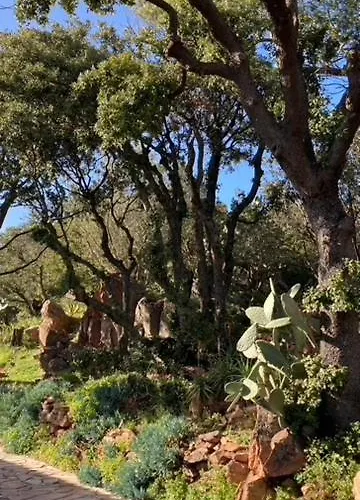 Casa de hóspedes L'arbousiere Porto-Vecchio (Corsica)