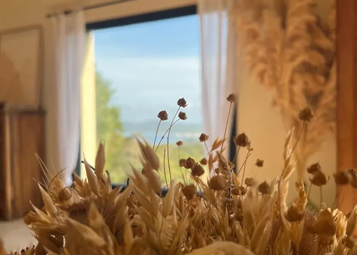 Penzion L'arbousiere 4*